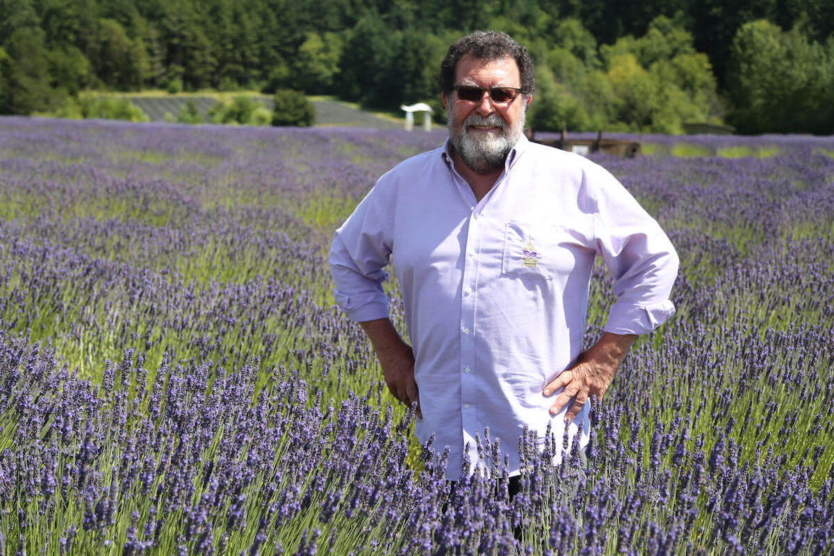 Stephen Robins, Founder of Pelindaba Lavender.